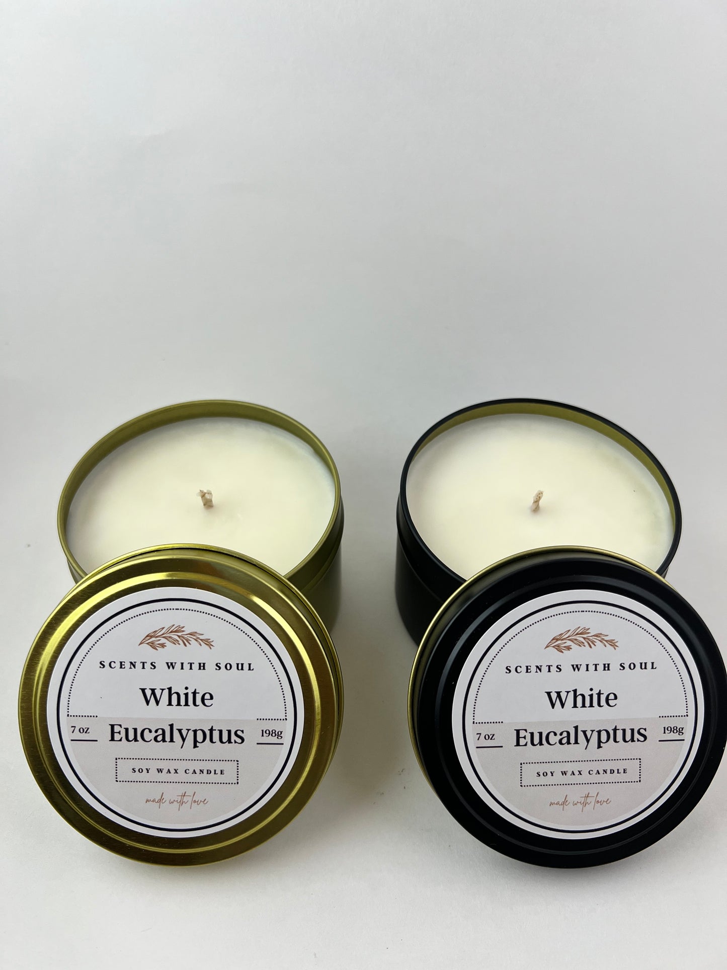 White Eucalyptus image 0